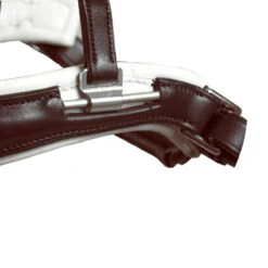 Acavallo Filosofia Bridle 9 Acavallo Filosofia Bridle -Farm Housetack Store bridle3 35524.1587741816.1280.1280