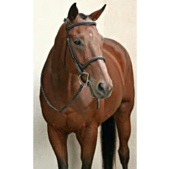 Nunn Finer Elena Hunter Bridle -Farm Housetack Store bridle7 df3ecb4e b033 46d4 bb3c 3bfe7a5c5abb