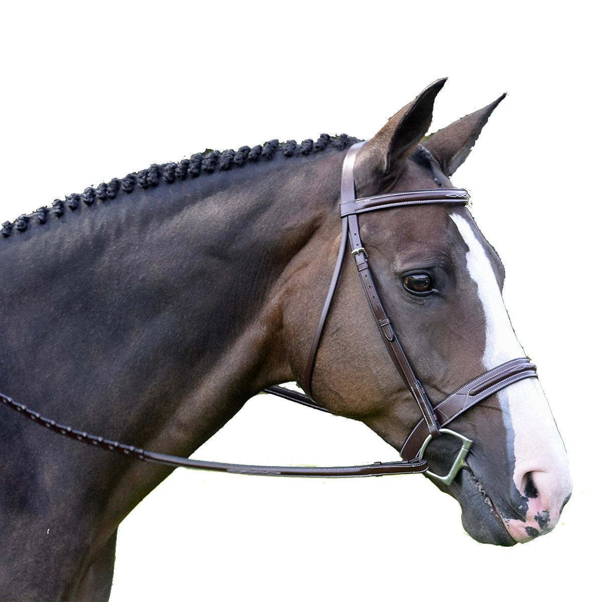 Red Barn By KL Select Sonoma Hunter Bridle 3 Red Barn By KL Select Sonoma Hunter Bridle