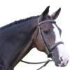 Black Oak By KL Select Spruce Hunter Bridle -Farm Housetack Store bridle 03431.1584460386.1280.1280 0dfbfcb0 876d 4c50 9c62 997be57b9ea3
