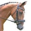 Black Oak By KL Select Magnolia Dressage Bridle -Farm Housetack Store bridle 14254.1584458498.1280.1280 86358317 b1fa 42be 8c5a 62f0fe3b0816