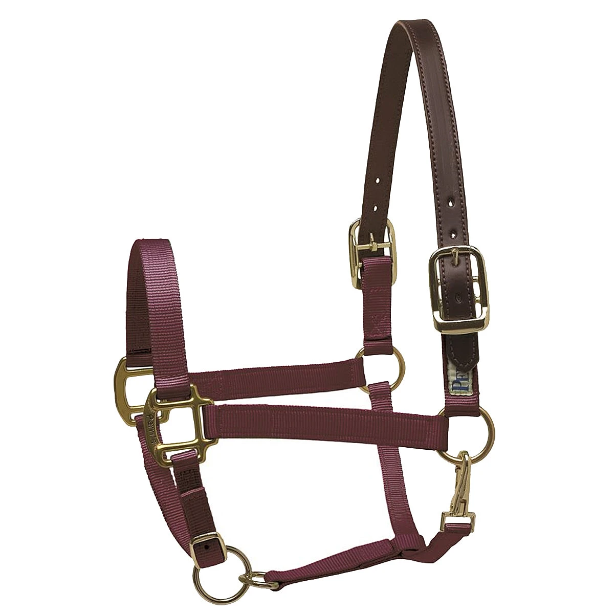 Perri's Premium Nylon Safety Halter 6 Perri's Premium Nylon Safety Halter - Image 4