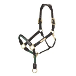 LeMieux Rope Control Halter -Farm Housetack Store c2a1ceea 9b8c 40bb 90bb baa752e3670e