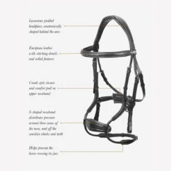 LeMieux Kudos Clear Arc Bridle -Farm Housetack Store c2ac5715 b74a 4edd a742 6b976d57f9ee