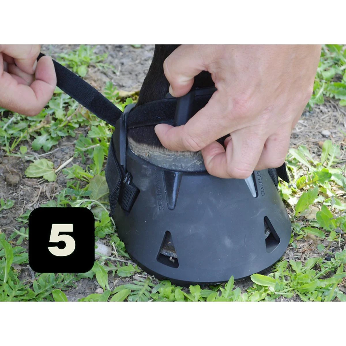 Gatusos Shoes With Pad 11 Gatusos Shoes With Pad - Image 9