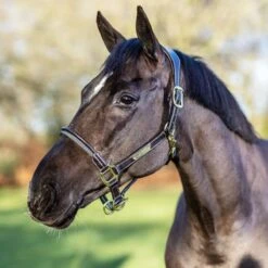 LeMieux Rope Control Halter -Farm Housetack Store c504dd48 88d8 4009 bc29 3708b053088d