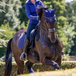 LeMieux Loire Fly Hood -Farm Housetack Store c687615d 2c06 4eac 9d90 b9fe013ecdf4