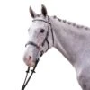 Jump'in Hackamore Bridle - Week Collection -Farm Housetack Store c82b55ffe37cc3a2d87dcd8e35e375cd