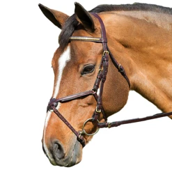 Nunn Finer Figure Eight Bridle