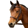Nunn Finer Event Bridle 2 Nunn Finer Event Bridle -Farm Housetack Store c9f61cc4 6d06 422a 8ce7 bffe0fb0fb15