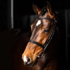 LeMieux Arika Cavesson Bridle -Farm Housetack Store d28eb9da 58ea 4016 a55d 5b8b54792e30