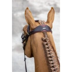 LeMieux Kudos Competition Flash Bridle 11 LeMieux Kudos Competition Flash Bridle -Farm Housetack Store d984ac48394e0d2c413d53eb3e9d56c9