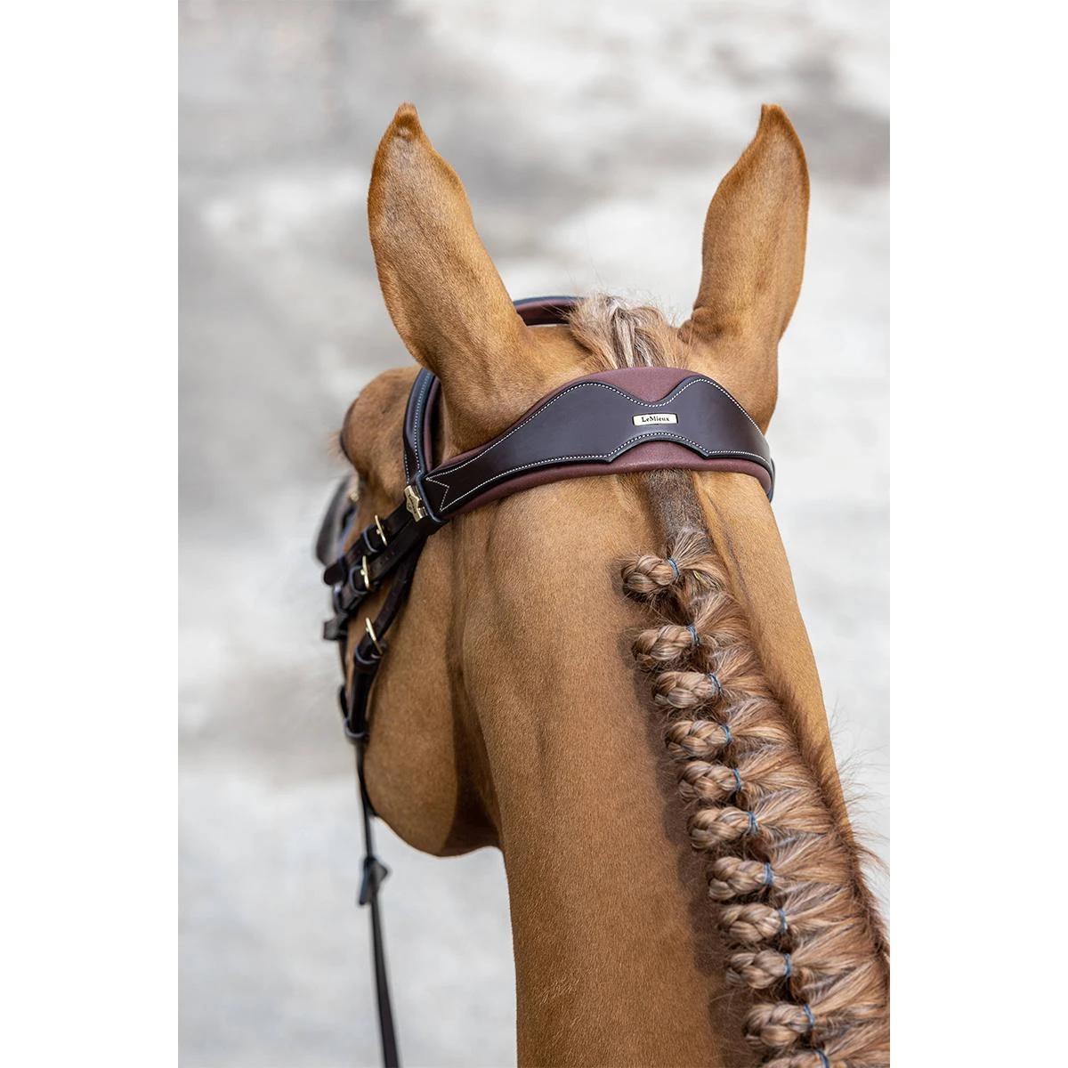 LeMieux Kudos Competition Flash Bridle 7 LeMieux Kudos Competition Flash Bridle - Image 5