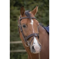 Penelope Elegance Bridle 8 Penelope Elegance Bridle -Farm Housetack Store dcffadd08e6aecaab8a7f68db76704ff