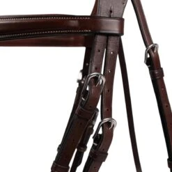 AJR Anatomic Jumper Bridle -Farm Housetack Store dda76d46 c73e 46ea 883b 65b49f823106