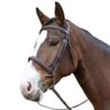 Avignon Ocala Bridle -Farm Housetack Store e019c191afe63520253b57a90002e915