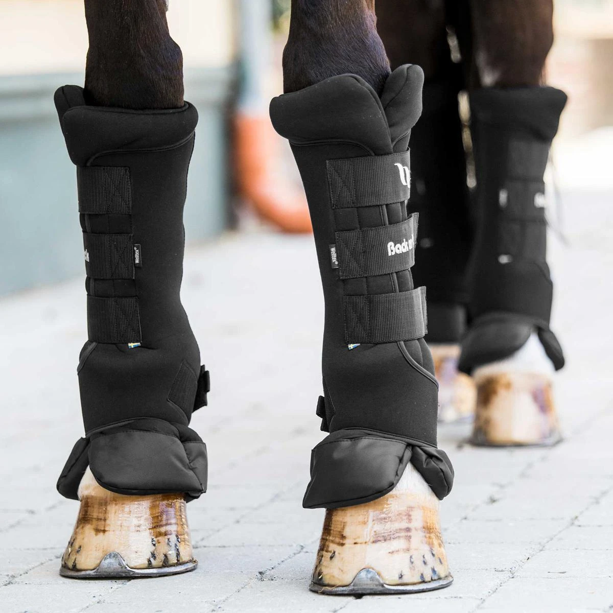 Back On Track Royal Quick Wraps Deluxe 10 Back On Track Royal Quick Wraps Deluxe - Image 8