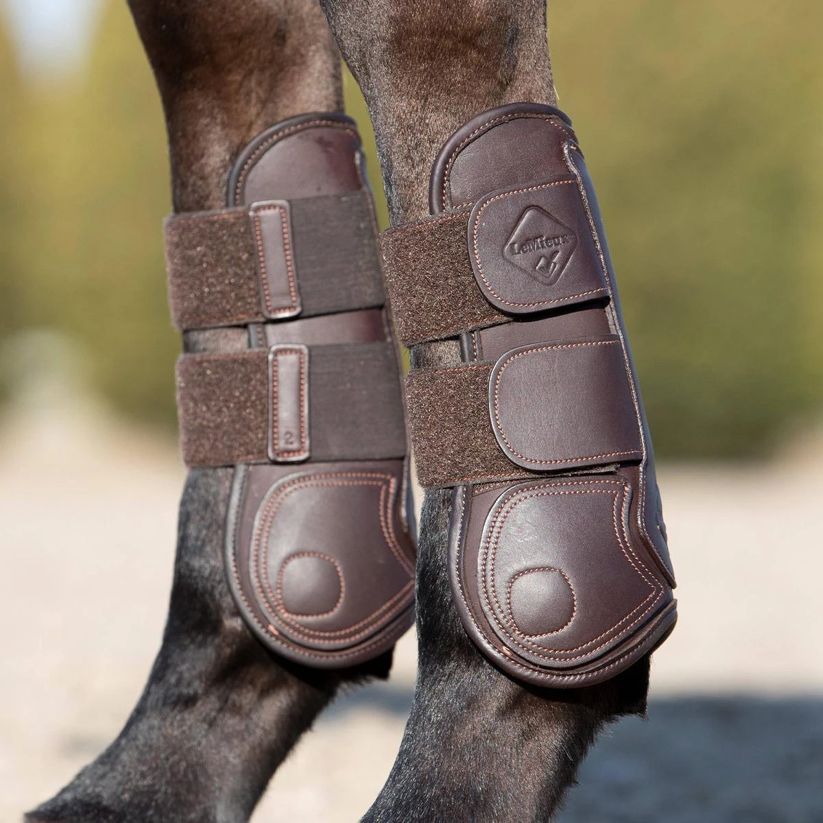 LeMieux Capella Tendon Boots 12 LeMieux Capella Tendon Boots - Image 10
