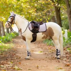 LeMieux Mini Suede Close Contact Square Pad -Farm Housetack Store eb25ec23 ec2d 450a aa95 9ad2b84fe839