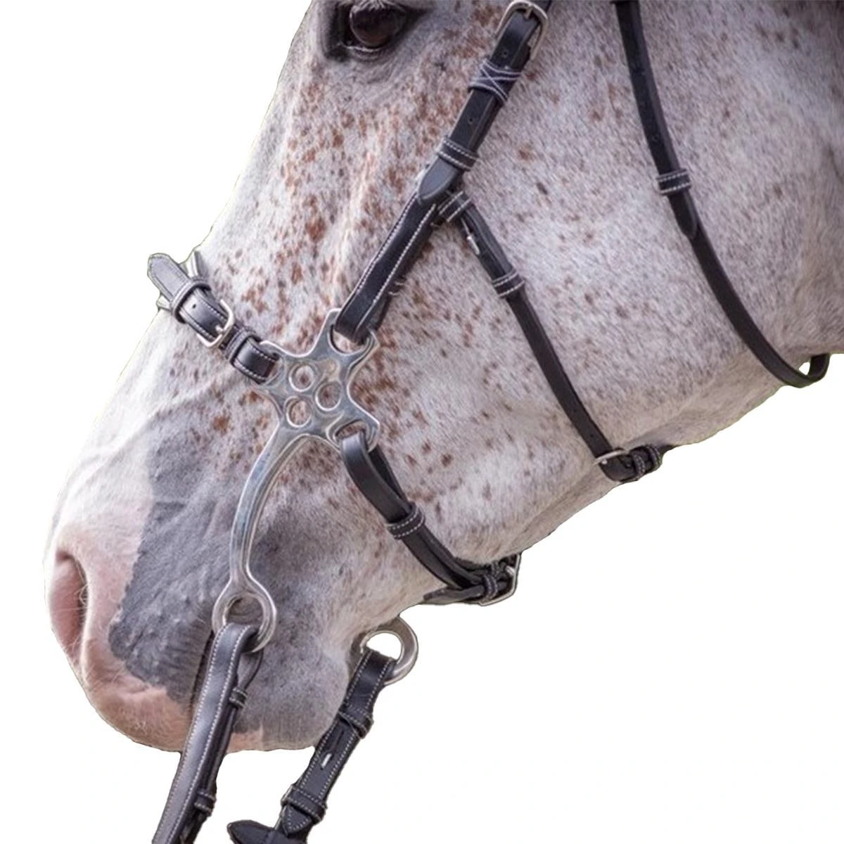 Jump'in Hackamore Bridle - Week Collection 4 Jump'in Hackamore Bridle - Week Collection - Image 2