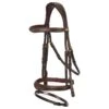 LeMieux Kudos Competition Flash Bridle -Farm Housetack Store f440e8bf58db04a10ff99dab33e4c70b