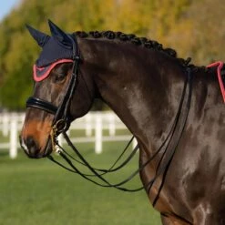 LeMieux Loire Fly Hood -Farm Housetack Store fda27ad1 28c5 4db0 bff2 ded1bd091bc6