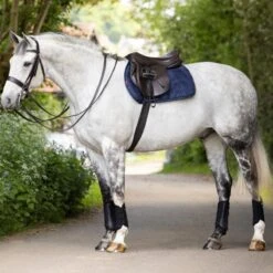 LeMieux GP Work Pad -Farm Housetack Store ff2eba53 eec3 43a5 b842 3a29ecb78294