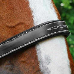 Black Oak By KL Select Willow Halter -Farm Housetack Store halter2 6d765dd9 018f 44b0 99ca a673fca2d6a2