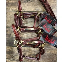 Walsh Showman Pony Halter -Farm Housetack Store halter2 fa638c65 9196 4b83 b725 af4a0ee4a7d0