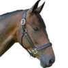 Black Oak By KL Select Sycamore Halter 2 Black Oak By KL Select Sycamore Halter -Farm Housetack Store halter 23657.1590623812.1280.1280 c5763892 33b4 4efe 974d 898478c4fa8b