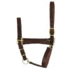Perri's Economy Leather Halter