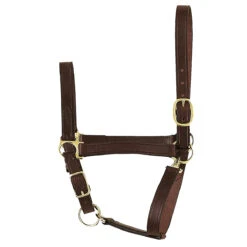 Perri's Economy Leather Halter
