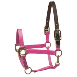 Perri's Premium Nylon Safety Halter 18 Perri's Premium Nylon Safety Halter -Farm Housetack Store hot pink 73719.1588257173.1280.1280