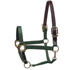 Perri's Premium Nylon Safety Halter 19 Perri's Premium Nylon Safety Halter -Farm Housetack Store hunter green 79434.1588257174.1280.1280