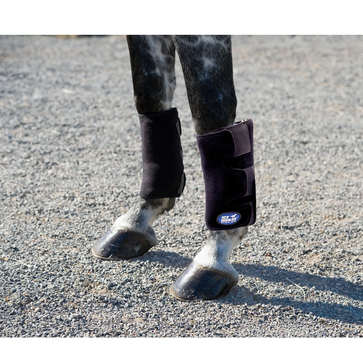 Ice Horse Tendon Wrap