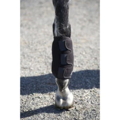 Ice Horse Tendon Wrap -Farm Housetack Store ice horse tendon wrap5 36438.1588363182.1280.1280