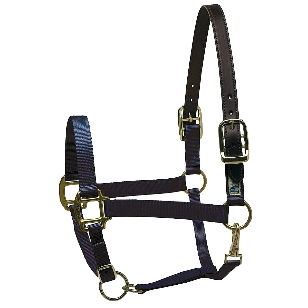 Perri's Premium Nylon Safety Halter 9 Perri's Premium Nylon Safety Halter - Image 7