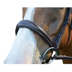 Red Barn By KL Select Ocala Hunter Bridle -Farm Housetack Store ocala2 47920.1584458377.1280.1280 e4922dcd 7594 4691 9711 1ff0d5b2b9ca