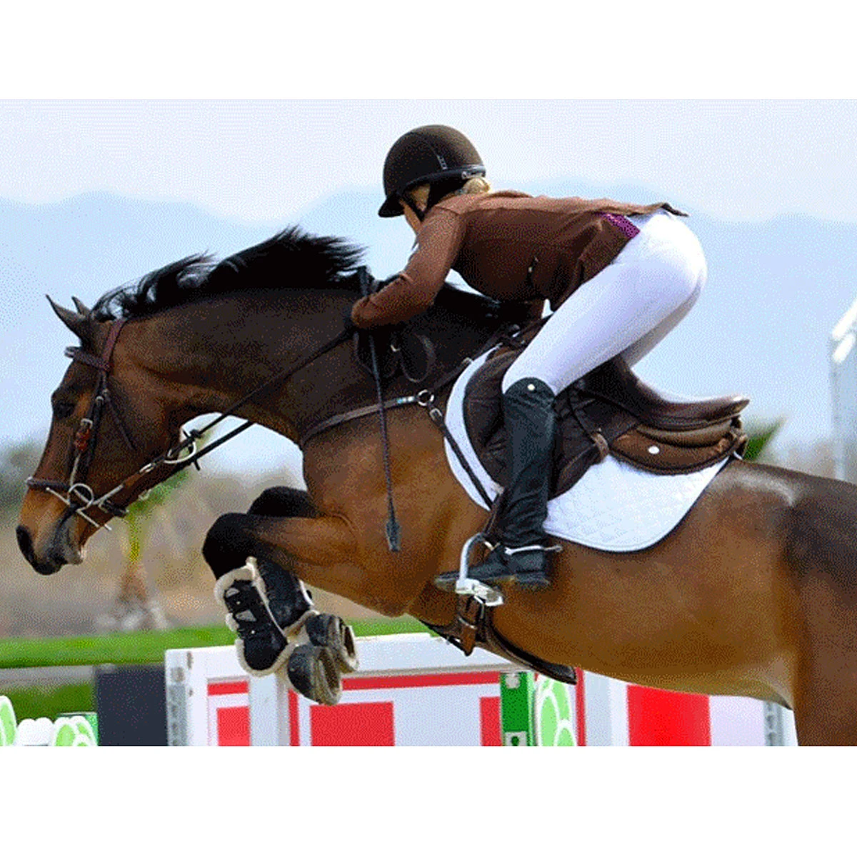 Ogilvy Jump Profile Pad 5 Ogilvy Jump Profile Pad - Image 3