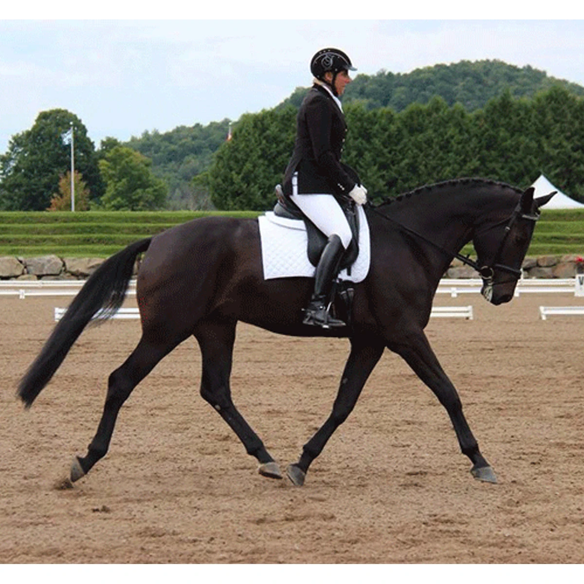 Ogilvy Dressage Memory Foam Half Pad 4 Ogilvy Dressage Memory Foam Half Pad - Image 2