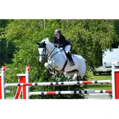 Ogilvy Jump Friction Free Pad 8 Ogilvy Jump Friction Free Pad -Farm Housetack Store pad3