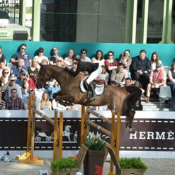 Ogilvy Jump Friction Free Pad 9 Ogilvy Jump Friction Free Pad -Farm Housetack Store pad4