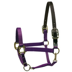Perri's Premium Nylon Safety Halter 21 Perri's Premium Nylon Safety Halter -Farm Housetack Store purple 30426.1588257175.1280.1280
