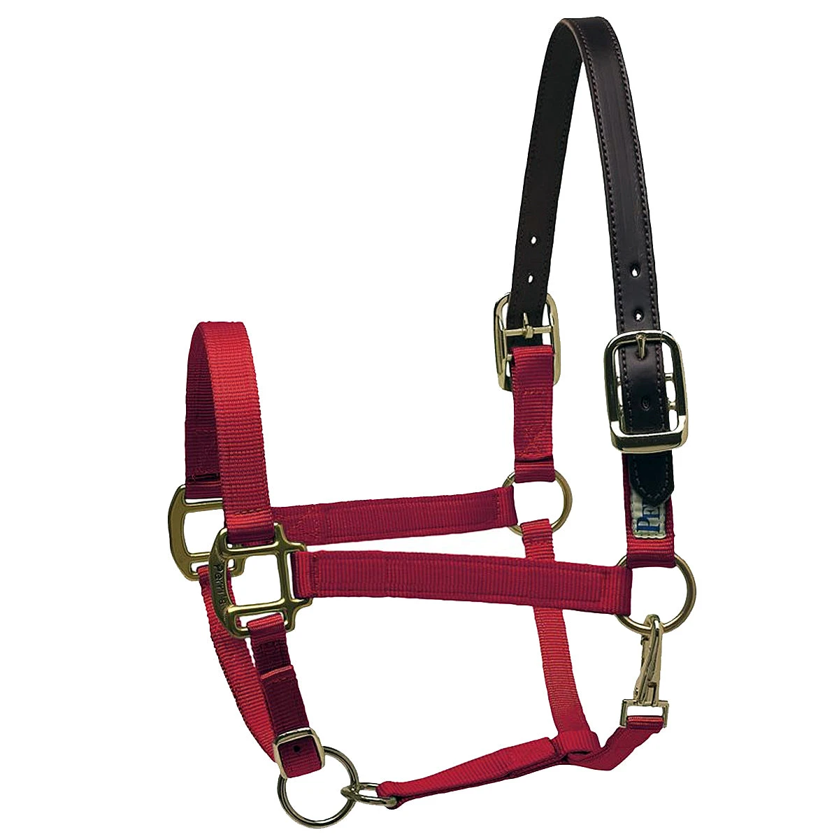 Perri's Premium Nylon Safety Halter 3 Perri's Premium Nylon Safety Halter