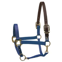 Perri's Premium Nylon Safety Halter 22 Perri's Premium Nylon Safety Halter -Farm Housetack Store royal bllue 76627.1588257174.1280.1280
