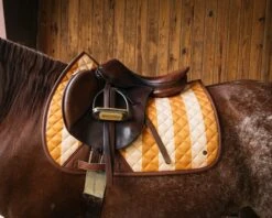 Sixteen Cypress Jumper Pad, Capri Stripe -Farm Housetack Store sixteen cypress capri stripe jumper pad
