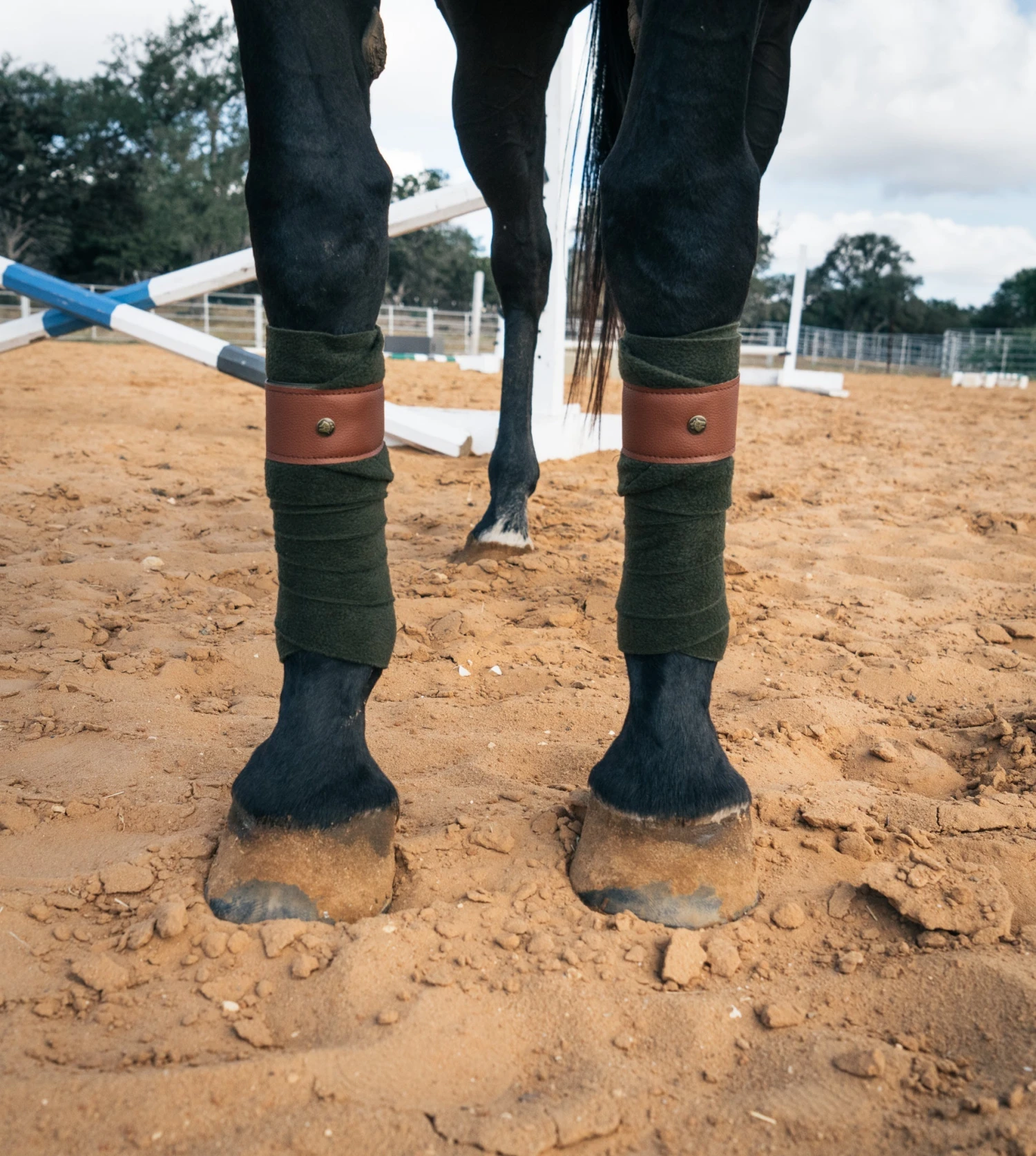 Sixteen Cypress Leatherette Polos, Camel & Cognac 5 Sixteen Cypress Leatherette Polos, Camel & Cognac - Image 3